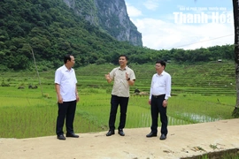 Xã Phú Lệ cần tận dụng tốt tiềm năng, lợi thế để phát triển 3 loại hình du lịch