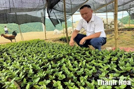 Người cũ của bản mới