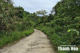 Chờ đất... (Bài 1): Hơn 3 thập kỷ dang dở giấc mơ “an cư”