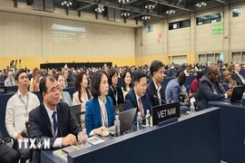 Ủy ban UNESCO thông qua tầm nhìn chỉnh trang tôn tạo trục trung tâm Hoàng thành Thăng Long