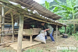 Chờ đất... (Bài 2): Phía sau đường ranh giới
