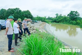 Kiểm tra hệ thống đê điều sông Cầu Chày trước mùa mưa bão