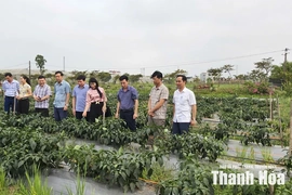 Nga Thắng phấn đấu trở thành&nbsp;xã phát triển khá của tỉnh