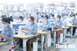 Quyết liệt các giải pháp, hoàn thành cao nhất nhiệm vụ thu ngân sách