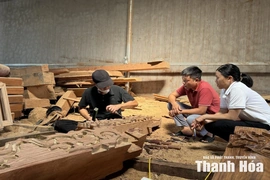 Sức trẻ trên cương vị mới