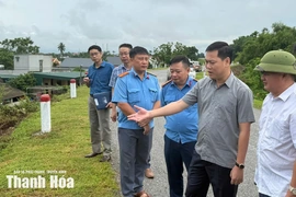 Bảo đảm an toàn các trọng điểm đê điều xung yếu trong mùa mưa lũ