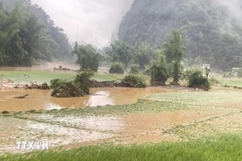 Thời tiết ngày 29/7: Mưa dông diện rộng, nhiều nơi mưa to đến rất to