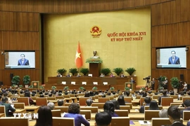 Kỳ họp không thường lệ thứ Nhất, Quốc hội khóa XVI khai mạc ngày 3/8