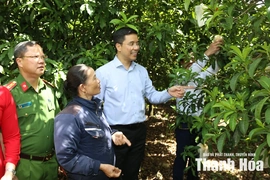 Chuyển hóa tiềm năng thành động lực đưa xã Cẩm Tú phát triển