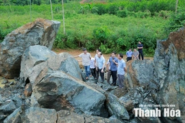 Phó Chủ tịch UBND tỉnh Cao Văn Cường kiểm tra tiến độ dự án chăn nuôi công nghệ cao và đô thị Ngọc Lặc