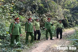 Quyết liệt bảo vệ động vật hoang dã