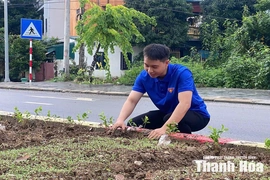 Giữ màu xanh cho miền quê Thiệu Hóa