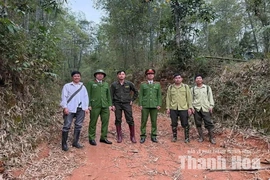 Chung tay giữ màu xanh của rừng