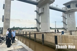 Kiểm tra công tác phòng, chống thiên tai tại các xã Hậu Lộc, Triệu Lộc, Đông Thành, Hoa Lộc và Vạn Lộc