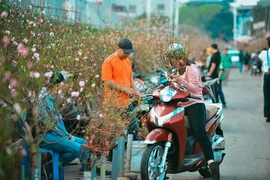 Bộ Nội vụ đề xuất nghỉ 7 ngày liên tục dịp Tết Nguyên đán 2027