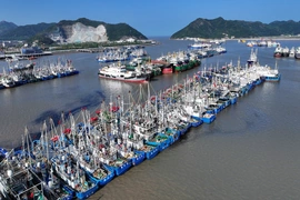 Trung Quốc khẩn trương ứng phó với bão Dolphin