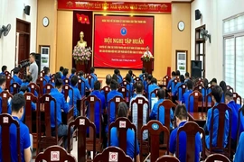 Đoàn Thanh niên UBND tỉnh triển khai hơn 50 chương trình tình nguyện với giá trị gần 2 tỷ đồng