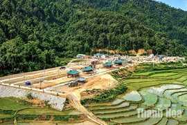 Vững tâm trước bão lũ