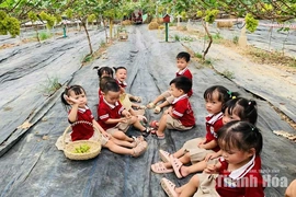 Trung Chính đẩy mạnh ứng dụng&nbsp;KH&CN trong sản xuất nông nghiệp