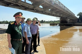 Bảo đảm an toàn tuyệt đối các tuyến đê trung ương trên địa bàn tỉnh