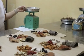 Bộ Y tế siết quản lý y, dược cổ truyền, ngăn hàng giả, thuốc kém chất lượng