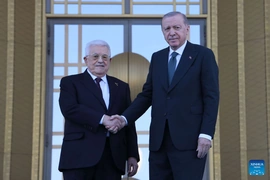 Thổ Nhĩ Kỳ tái khẳng định ủng hộ thành lập Nhà nước Palestine độc lập