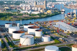 IEA và OPEC dự báo trái chiều về triển vọng nhu cầu dầu mỏ