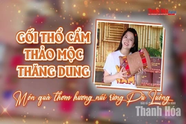 [REVIEW OCOP] Gối thổ cẩm thảo mộc Thăng Dung – món quà thơm hương núi rừng Pù Luông