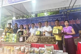 Thanh Hóa tham gia 5 gian hàng tại Hội chợ xúc tiến thương mại HTX khu vực miền Bắc