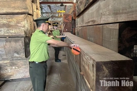 Hạt Kiểm lâm TP Thanh Hóa: Tăng cường quản lý các cơ sở chế biến lâm sản