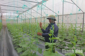 Đồng hành cùng người dân&nbsp;sản xuất sạch, an toàn