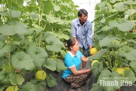 Không ngại thử thách, lan tỏa khát vọng làm giàu