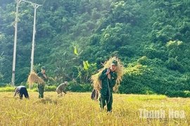 Gắn bó quân dân, xây dựng&nbsp;Tam Chung giàu đẹp