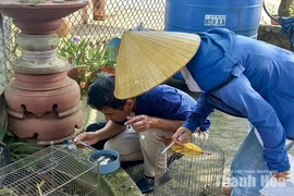 Chủ động phòng, chống&nbsp;dịch bệnh mùa mưa bão
