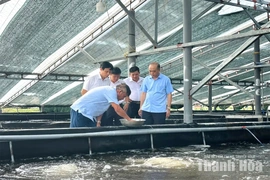 Điểm tựa để hội viên&nbsp;nông dân khởi nghiệp