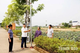 Phát huy vai trò của chi bộ&nbsp;trong xây dựng nông thôn mới