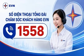 EVN đưa Tổng đài chăm sóc khách hàng 1558 vào hoạt động trên toàn quốc