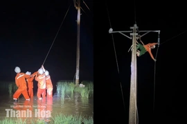 Chủ động ứng phó, nhanh chóng khôi phục cấp điện sau thiên tai