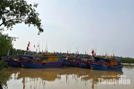 Sẵn sàng tiếp nhận tàu thuyền vào âu neo đậu tránh trú bão
