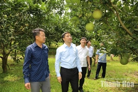 Xã Đồng Lương chú trọng thu hút đầu tư, tăng cường liên kết giữa người dân với doanh nghiệp