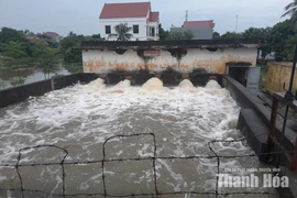 Chủ động vận hành các trạm bơm, cống tiêu bảo đảm tiêu thoát nước phục vụ sản xuất