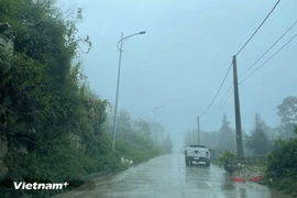 Thời tiết ngày 20/8: Miền Trung mưa lớn, nhiều khu vực đề phòng dông lốc