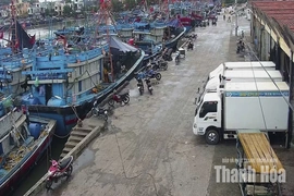 Khẩn trương kêu gọi tàu thuyền vào nơi tránh trú bão