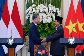 Chung một hải trình: Indonesia tuổi 81 và hành trình song hành cùng Việt Nam