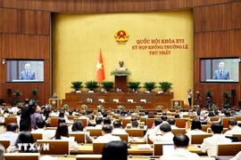 Thông cáo báo chí số 12, Kỳ họp không thường lệ thứ Nhất, Quốc hội khóa XVI