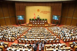 Quốc hội thảo luận về chính sách sửa đổi Luật Đất đai, Luật Nhà ở