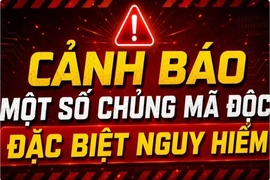 Cảnh báo 2 chủng mã độc đặc biệt nguy hiểm