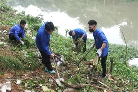 Triển khai mô hình “Tổ tự quản bảo vệ môi trường” tại các xã, phường trên địa bàn tỉnh