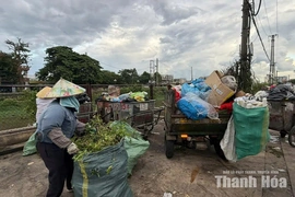 Phân loại rác tại nguồn: Luật đã rõ, vì sao chưa thực hiện đồng bộ?
