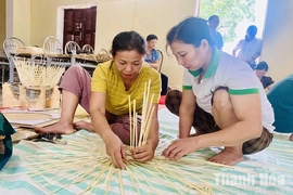 Tự tin vươn xa nhờ tư duy “đa ngành, nghề” trong các HTX